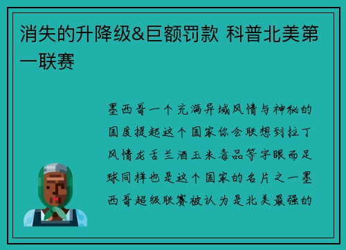 消失的升降级&巨额罚款 科普北美第一联赛