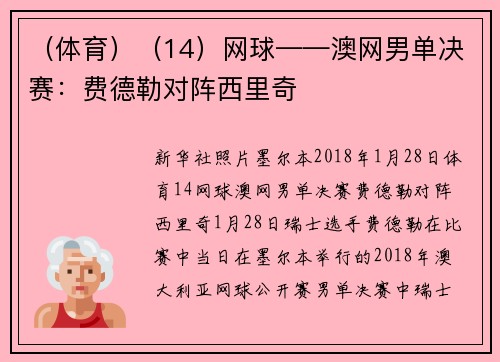 （体育）（14）网球——澳网男单决赛：费德勒对阵西里奇